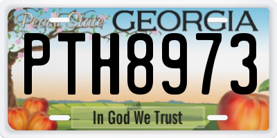 GA license plate PTH8973