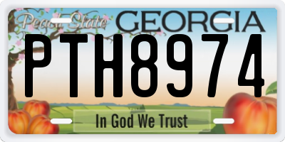 GA license plate PTH8974