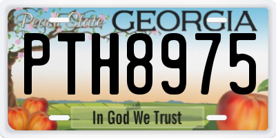 GA license plate PTH8975