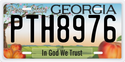 GA license plate PTH8976