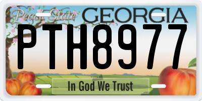 GA license plate PTH8977