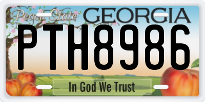 GA license plate PTH8986