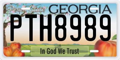 GA license plate PTH8989