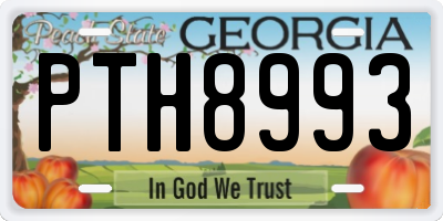 GA license plate PTH8993