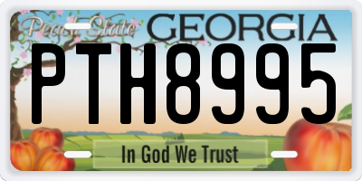GA license plate PTH8995
