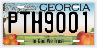 GA license plate PTH9001