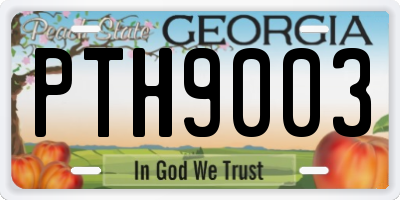 GA license plate PTH9003