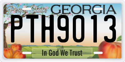 GA license plate PTH9013