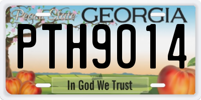 GA license plate PTH9014
