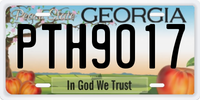 GA license plate PTH9017