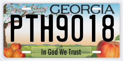 GA license plate PTH9018