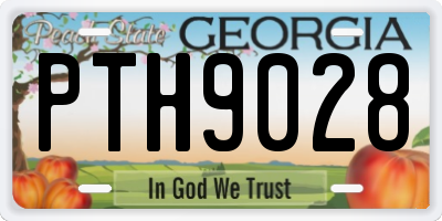 GA license plate PTH9028
