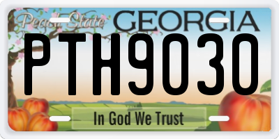 GA license plate PTH9030