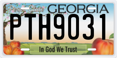 GA license plate PTH9031