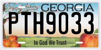 GA license plate PTH9033
