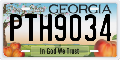 GA license plate PTH9034