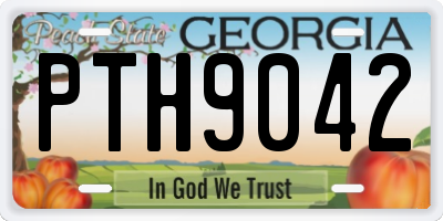 GA license plate PTH9042