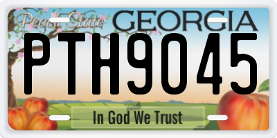 GA license plate PTH9045
