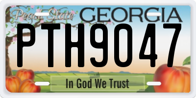 GA license plate PTH9047