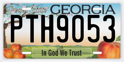GA license plate PTH9053
