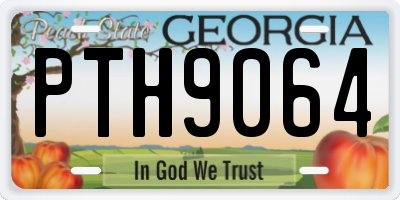 GA license plate PTH9064