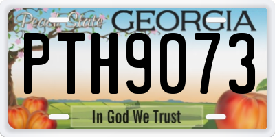 GA license plate PTH9073
