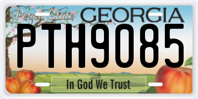 GA license plate PTH9085