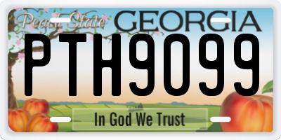 GA license plate PTH9099