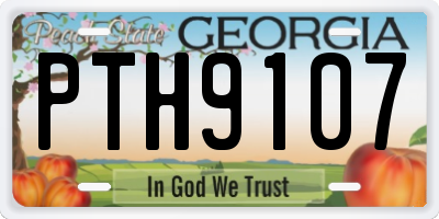 GA license plate PTH9107