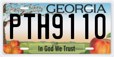 GA license plate PTH9110