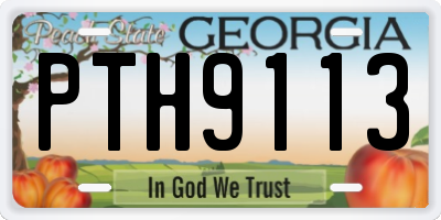 GA license plate PTH9113