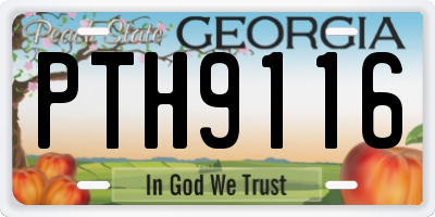 GA license plate PTH9116