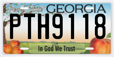 GA license plate PTH9118