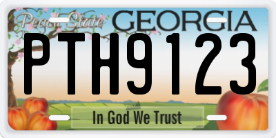 GA license plate PTH9123