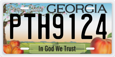 GA license plate PTH9124