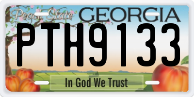 GA license plate PTH9133