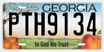 GA license plate PTH9134