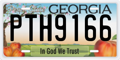 GA license plate PTH9166