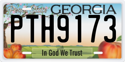 GA license plate PTH9173