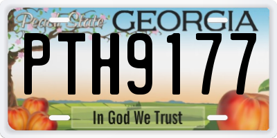 GA license plate PTH9177
