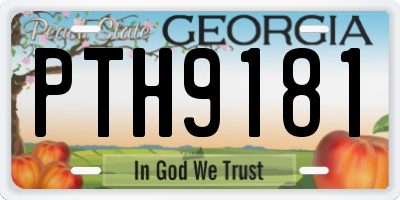 GA license plate PTH9181