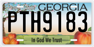 GA license plate PTH9183