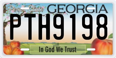 GA license plate PTH9198