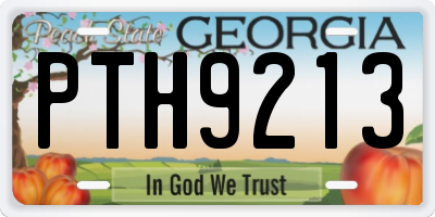 GA license plate PTH9213