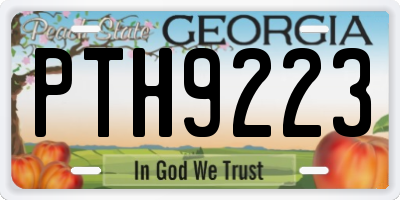 GA license plate PTH9223