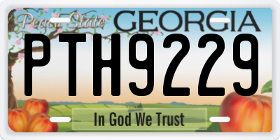 GA license plate PTH9229
