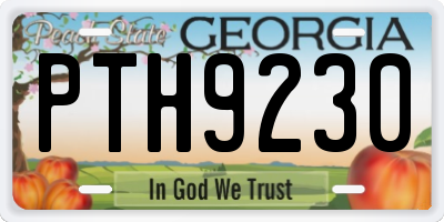 GA license plate PTH9230