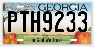GA license plate PTH9233
