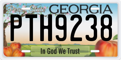 GA license plate PTH9238