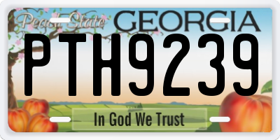 GA license plate PTH9239